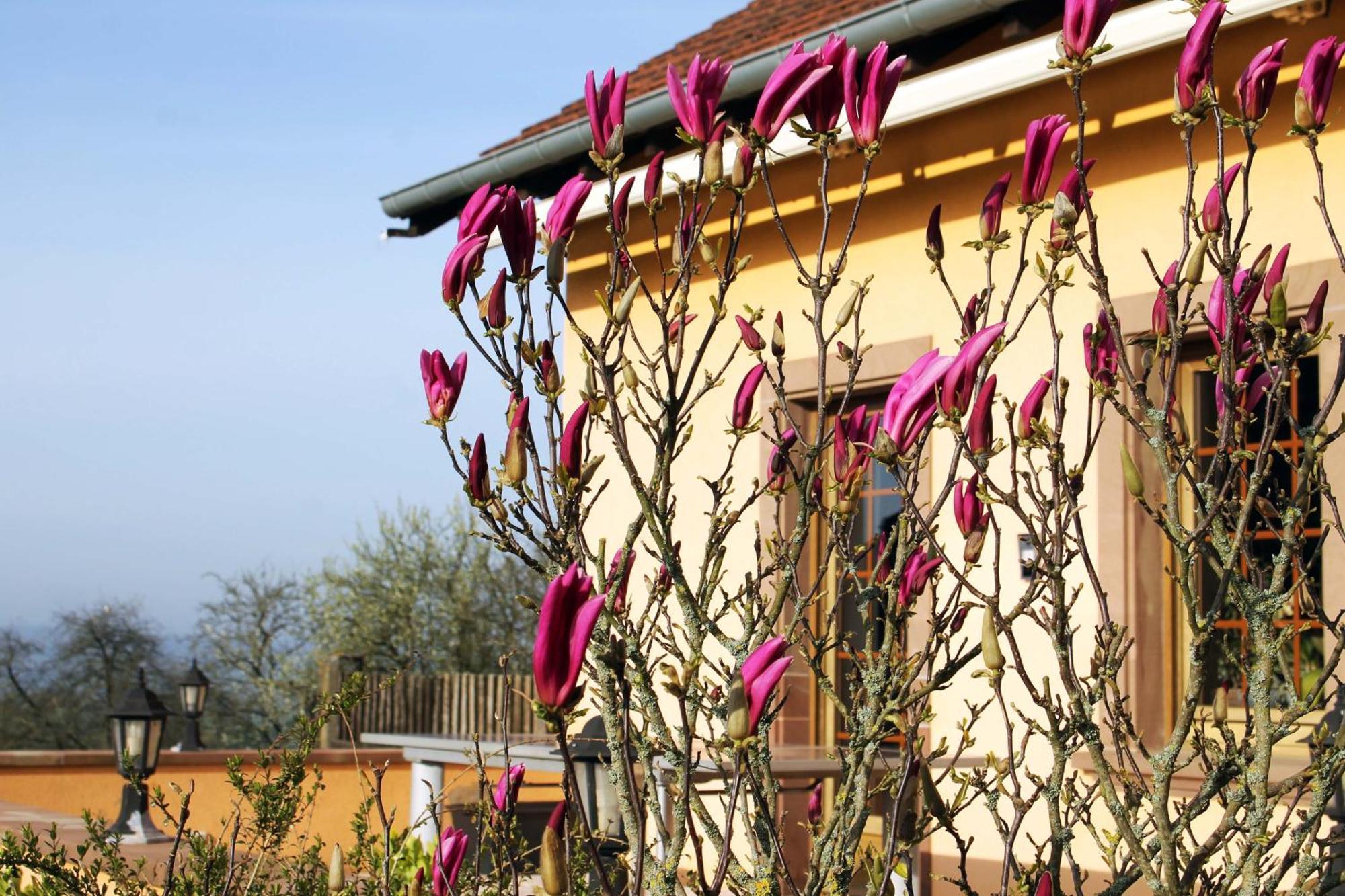 Maison Villabella Butten Buitenkant foto